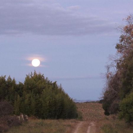 Apartmán El Rancho De Chispero Isla Patrulla Exteriér fotografie