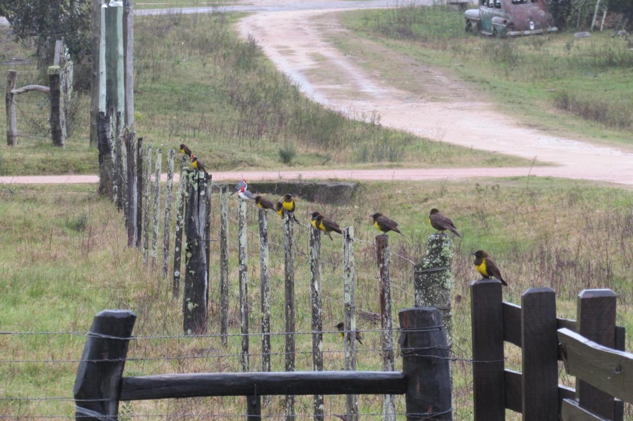 Apartmán El Rancho De Chispero Isla Patrulla Exteriér fotografie