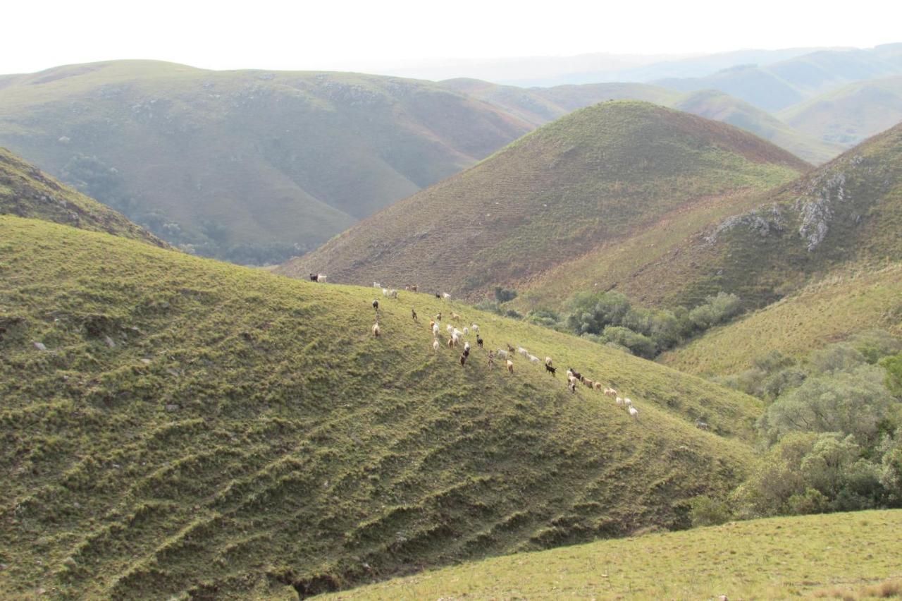 Apartmán El Rancho De Chispero Isla Patrulla Exteriér fotografie