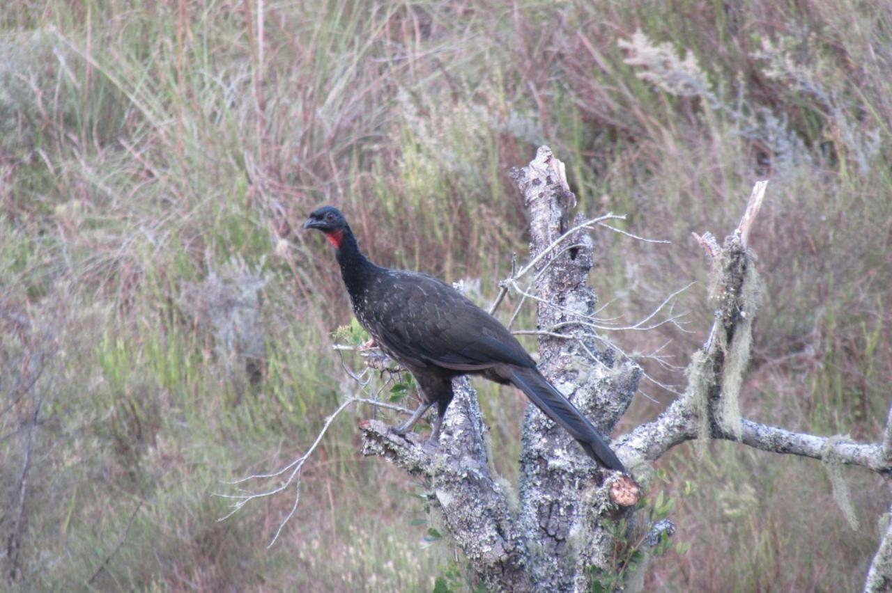 Apartmán El Rancho De Chispero Isla Patrulla Exteriér fotografie